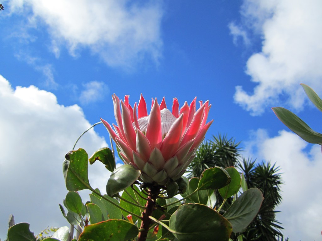 Best Practices, Enterprise 2.0 and Social IT – with&nbsp;Passion