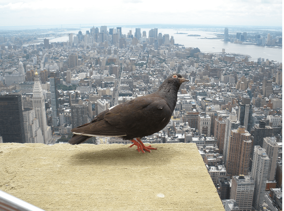 Social Business, Power Balance and&nbsp;Trust