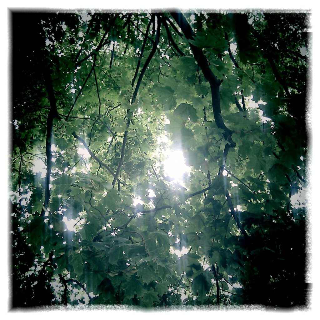 Systems Intelligence, Serendipity and Listening for the Better&nbsp;Decisions